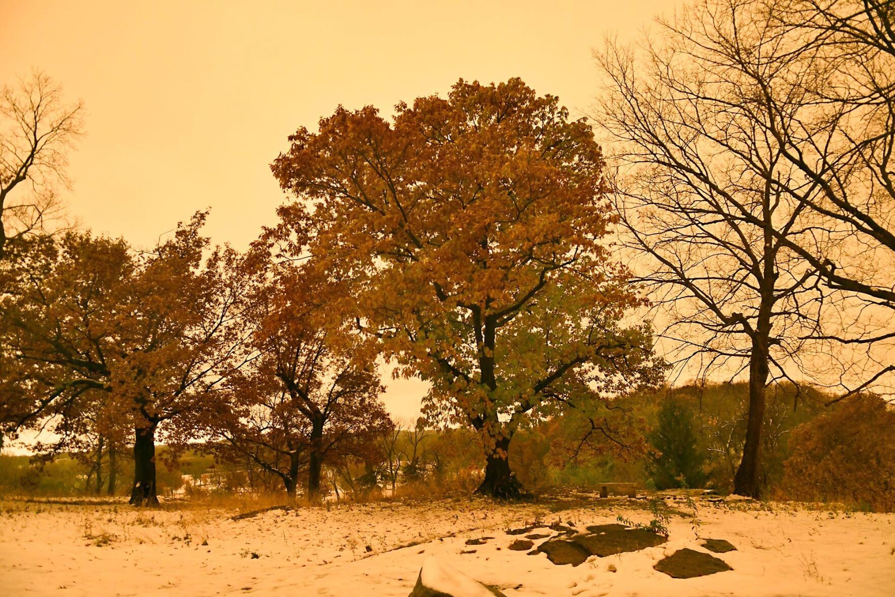 Orange sky